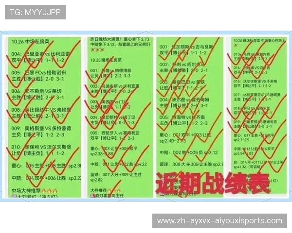 深度剖析德甲球队的战术特性与风格对比